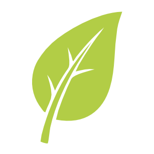 Eco Friendly icon